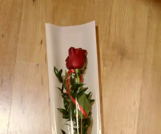 Rosa rossa singola finemente confezionata