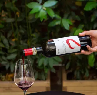 Chianti Fattoria Sammontana Bio
