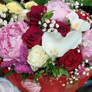 Rosa rosso peonia calle bianco velo sposa e stelle colorate più verde