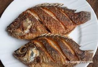 Fish