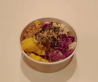 9.Riso bianco, pollo e yogurt e carote,ponzu