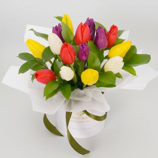 Композиція"Shades of Joy"