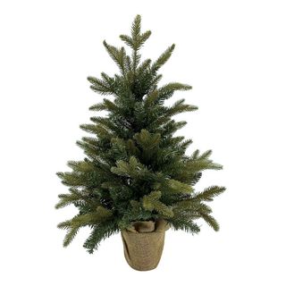Albero di natale medio