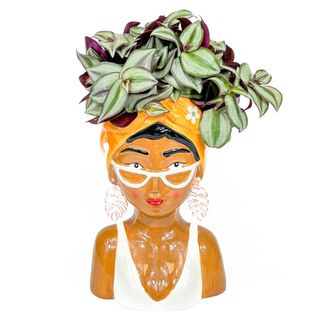 Macetero tipo busto turbante (25cm) con planta tradescantia