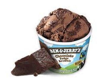 Ben And Jerry Chocolate Fudge Brownie Mini 