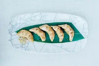 Gyoze Piletina