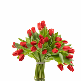 Ramo 20 Tulipanes MP