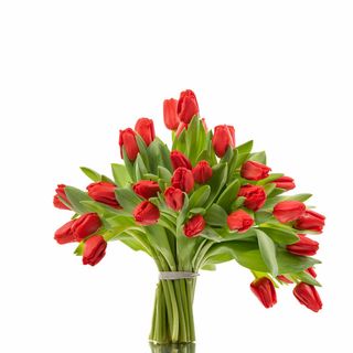 Ramo 20 Tulipanes MP