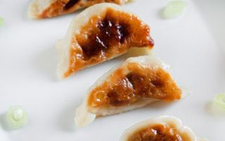 014-Gyoza alla piastra 5 pezzi