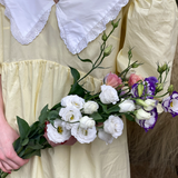 ფერადი ეუსტომა (10 ტოტი)