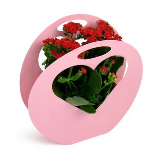 Corazón rosa + planta kalanchoe