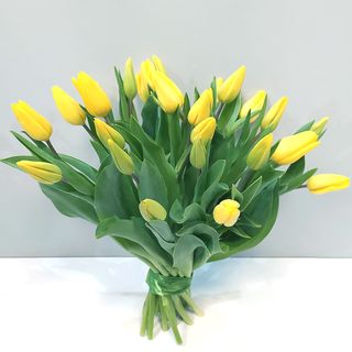 Tulipany żółte 25 szt