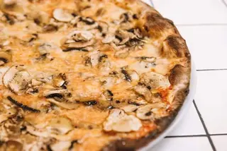 Funghi