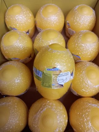 Contenitore per limone 