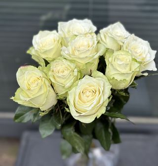 Białe róże, 9 sztuk