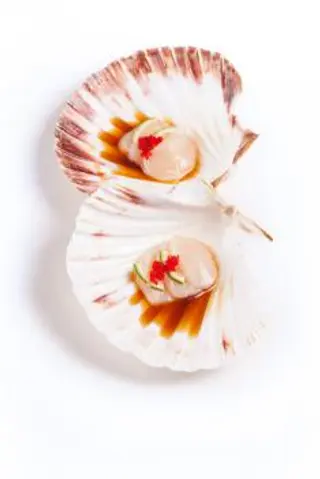 62 Crudite di capesante - 5 pezzi