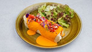 Tex Mex pileći burito