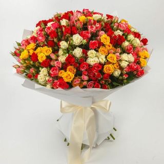 Premium Spray rose - XXL 