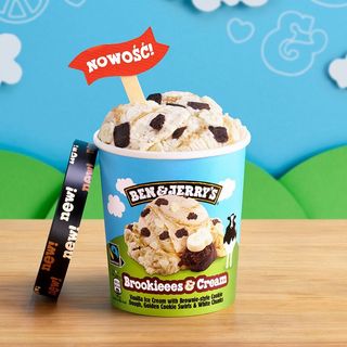 Ben&Jerry's Brookies&Cream C