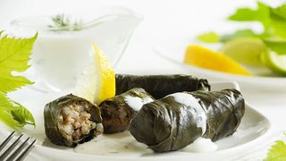 Sarmice sa tunjevinom 300g