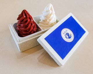 Sorbete De Temporada Vegano