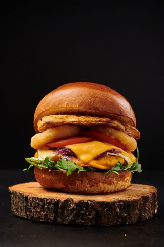 Hollywood with fries and sos burgatore