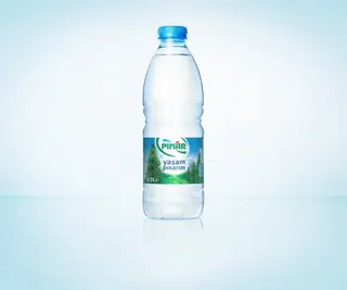 Apa plata Pinar