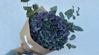 Bukiet -Okazała Hortensja Pimpernel i eukaliptus