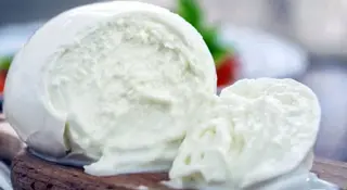 Crudo e Burrata