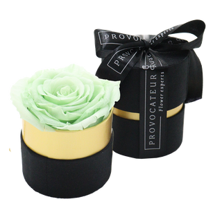 Eternity rose Tiffany