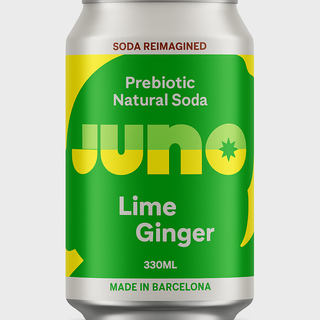 Soda Lemon & Ginger