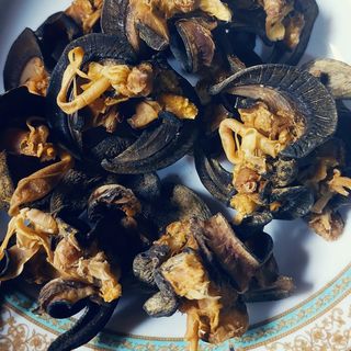 Large dry snails 4pieces 