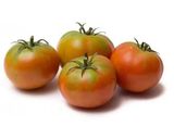 Pomodori da insalata -1kg