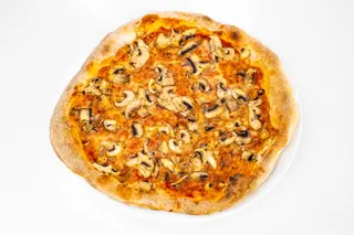 Funghi