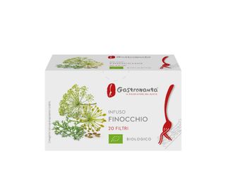 Gastronauta infuso finocchio bio 20 filtri 40 g