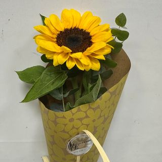 015-FLOR DEL SOL PARA TI !! 1-GIRASOL PREMIUN