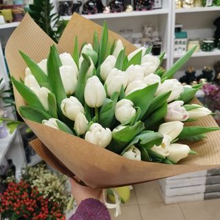 Bukiet białych lub żółtych tulipanów