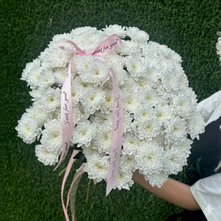 13 თეთრი ქრიზანთემა