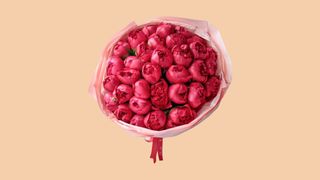 40 წითელი პიონების ბუკეტი