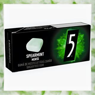 5Gum Spearmint 16.5g