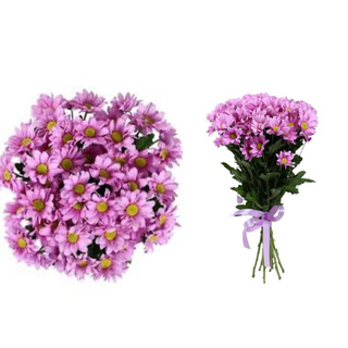 Bouquet di margherite