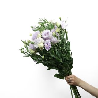  Bukiet Eustoma 5 szt.