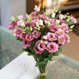 Cutie cu 11 fire Lisianthus roz/lila