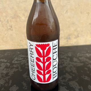 Kombucha Cheeery