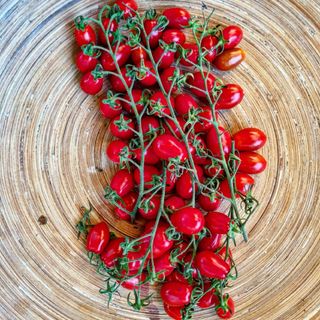 Pomodoro Piccadilly/Ciliegino 500 g