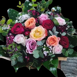 Rose colorate 