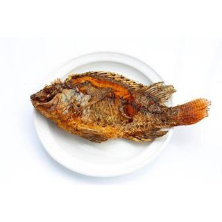 Tumbo Tilapia