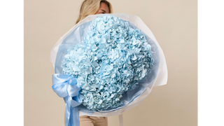 Blue Hydrangea Cloud