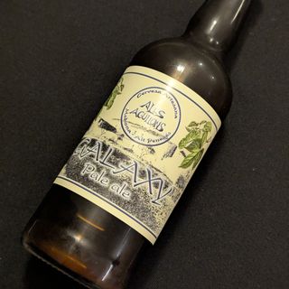 Cerveza Artesanal Ales Agullons Galaxy