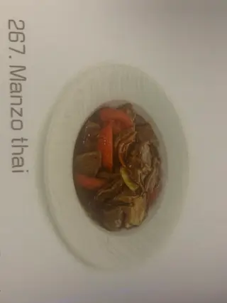 267. Manzo thai 